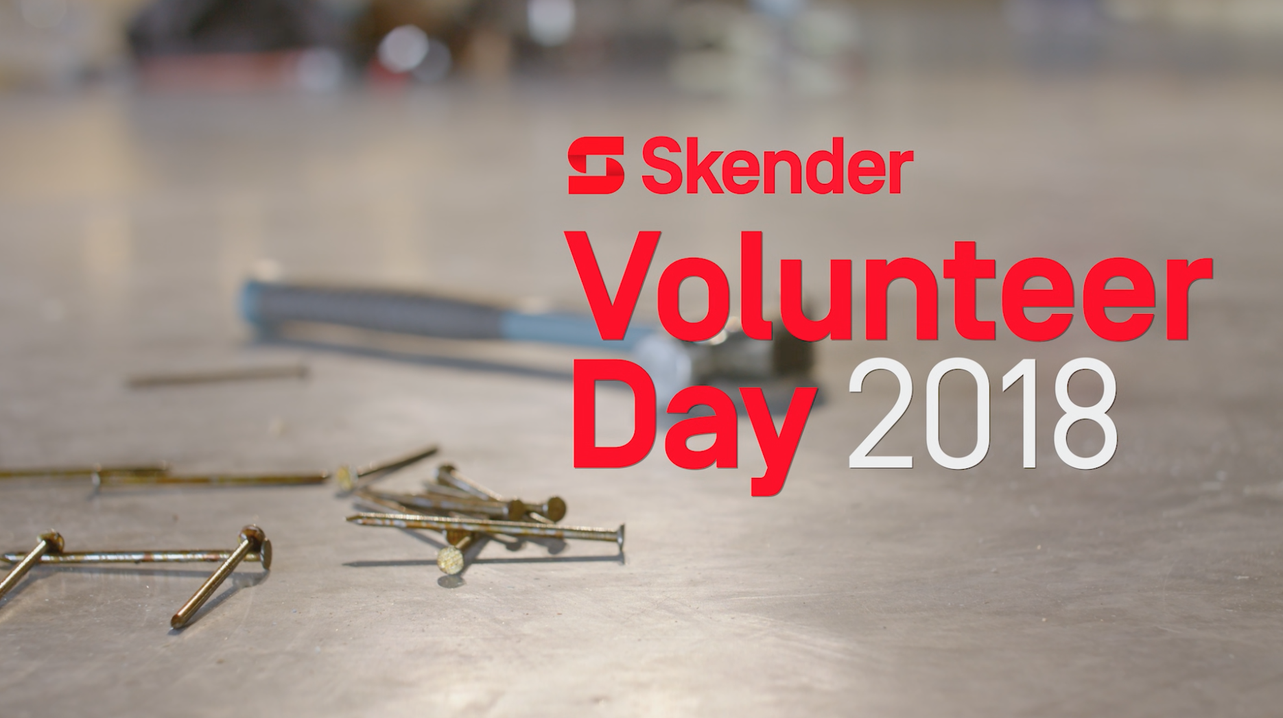 Skender Volunteer Day 2018