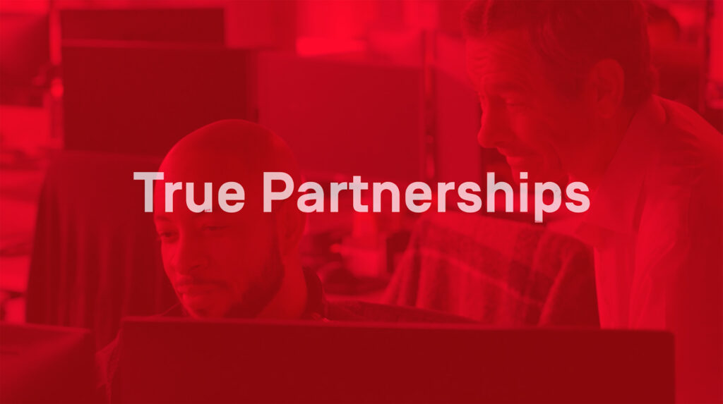 True Partner - Skender Core Value